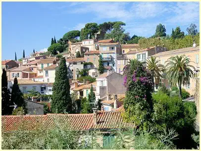 Provence Bormes-les-Mimosas