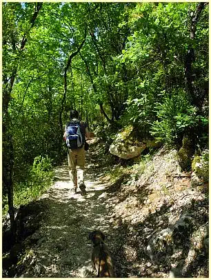 Sentier Blanc-Martel - Wanderweg