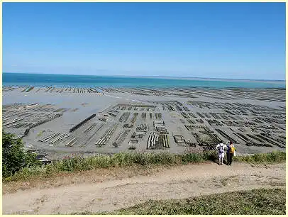 Cancale Austernbänke