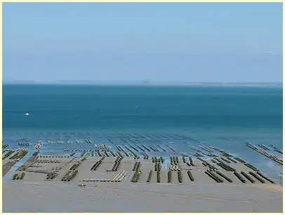 Cancale Austernbänke und Mont-Saint-Michel