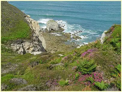 Cap de la Chèvre - Meerblick mit Heide