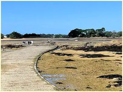 überflutbare Straße zur Insel Île Callot