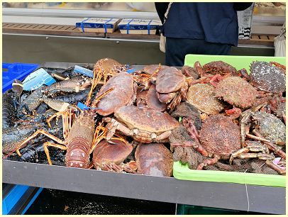 Homard, Crabe Araignée - Markt in der Bretagne