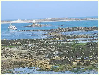 vorgelagerte Felsen Insel Île de Batz