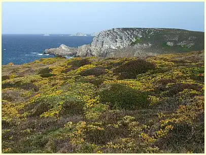 Pointe de Dinan im Frühjahr