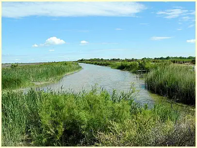 Naturpark Camargue - Frühjahr