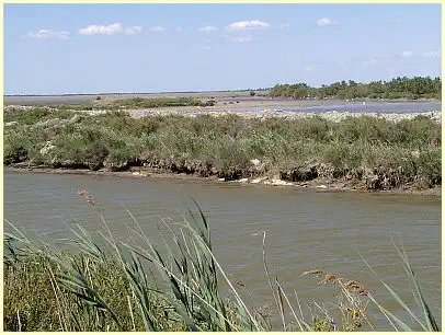 Naturpark Camargue