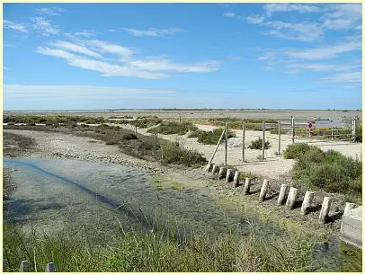 Naturpark Camargue - Frühjahr