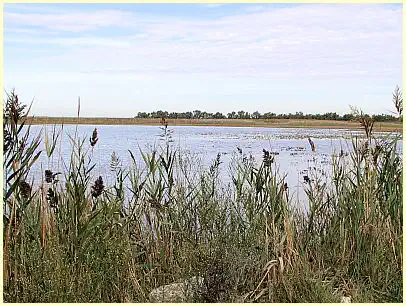 Naturpark Camargue - Herbst