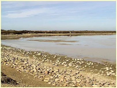 Naturpark Camargue - Herbst