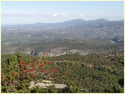 Mont Ventoux - Panorama der Bergfahrt