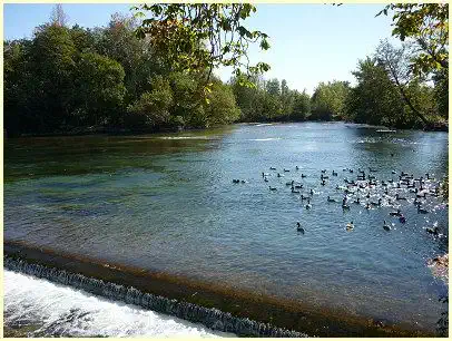 L'Isle-sur-la-Sorgue - Teilung des Wassers - Partage des Eaux