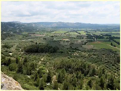 Blick auf Alpilles - Burg Château des Baux