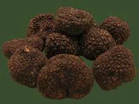 schwarze Trüffel - Sl-Ziga, Public domain, via Wikimedia Commons schwarze Trüffel