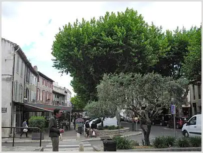 Saint-Rémy-de-Provence - Boulevard Mirabeau